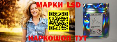 стаф Нальчик