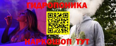 стаф Нальчик