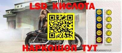 стаф Нальчик