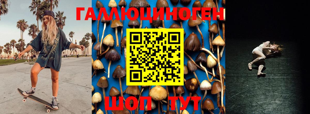 Псилоцибиновые грибы Psilocybine cubensis  Вход с VPN  Энгельс 